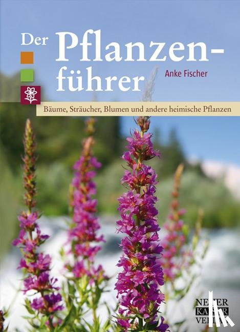Fischer, Anke - Der Pflanzenführer