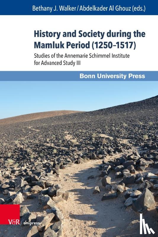  - History and Society during the Mamluk Period (1250–1517)