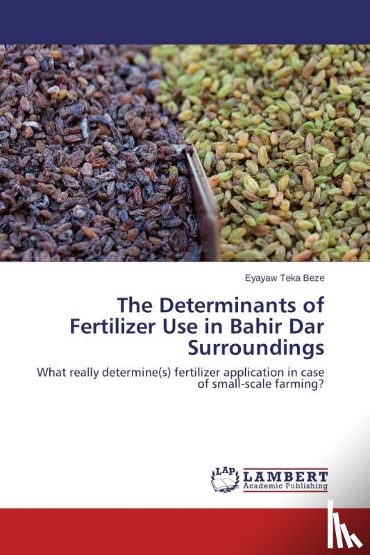 Beze Eyayaw Teka - The Determinants of Fertilizer Use in Bahir Dar Surroundings