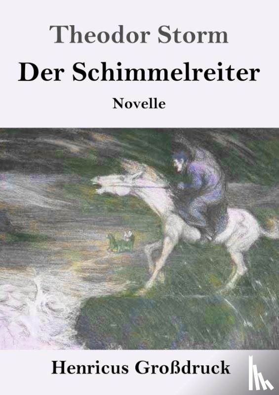 Storm, Theodor - Der Schimmelreiter (Grossdruck)