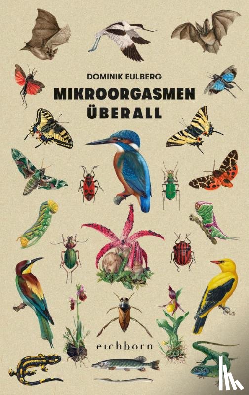 Eulberg, Dominik - Mikroorgasmen überall