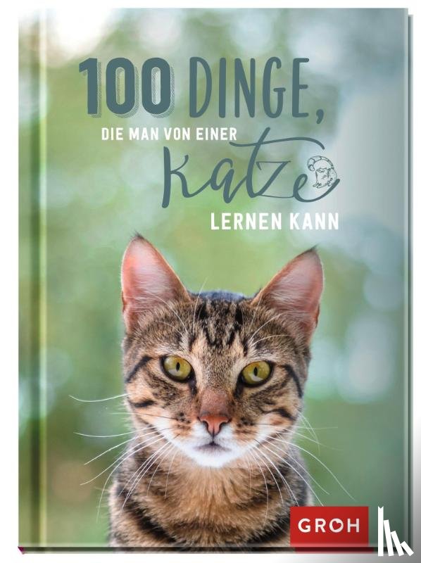  - 100 Dinge, die man von einer Katze lernen kann