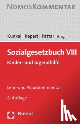  - Sozialgesetzbuch VIII