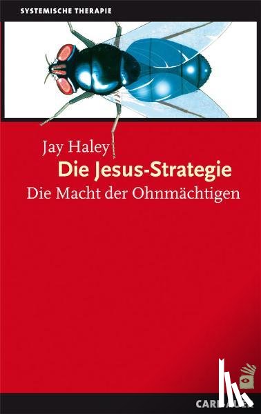 Haley, Jay - Die Jesus-Strategie