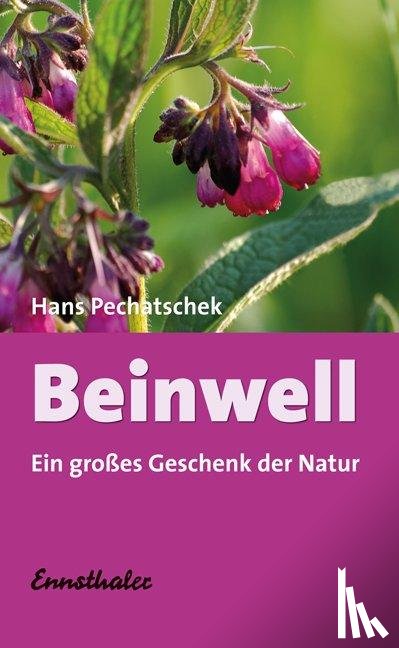 Pechatschek, Hans - Beinwell