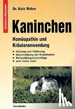 Weber, Alois - Kaninchen