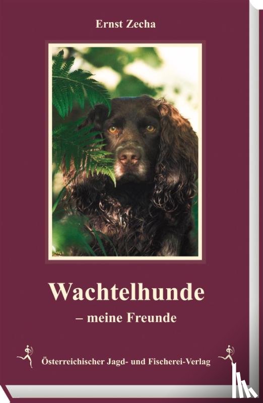 Zecha, Ernst - Wachtelhunde meine Freunde