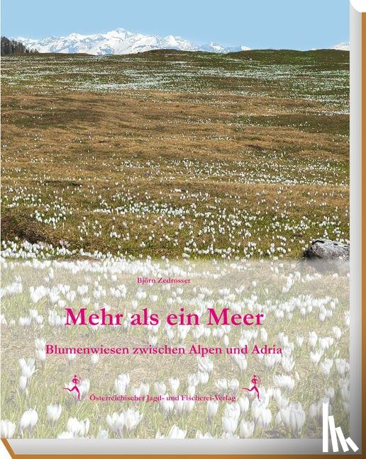 Zedrosser, Björn - Mehr als ein Meer