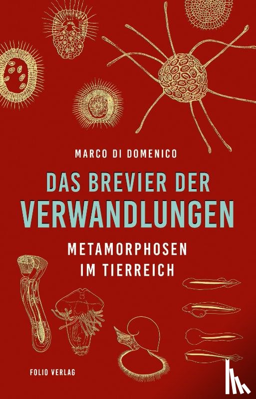 Domenico, Marco Di - Das Brevier der Verwandlungen