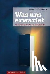 Brunner, Beatrice - Was uns erwartet