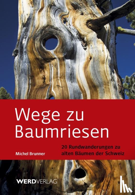 Brunner, Michel - Wege zu Baumriesen