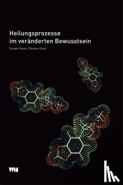 Passie, Torsten, Dürst, Thomas - Heilungsprozesse im veränderten Bewusstsein