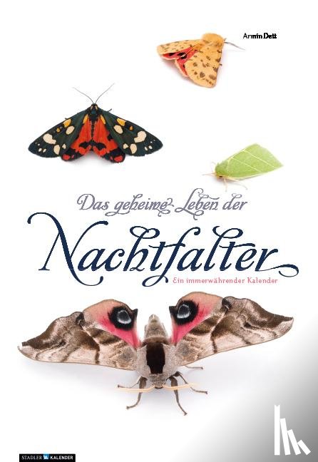  - Das geheime Leben der Nachtfalter