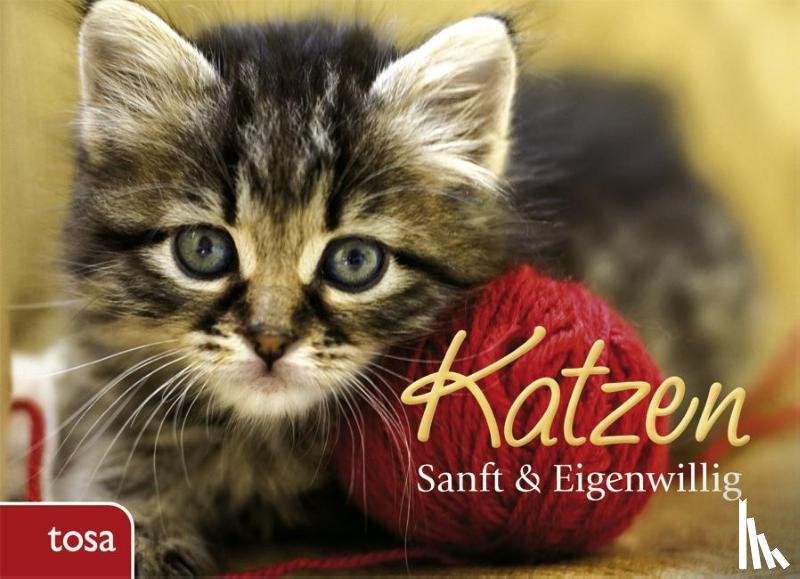  - Katzen