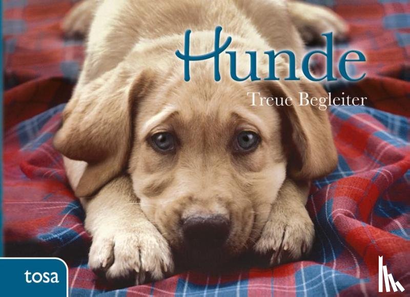  - Hunde