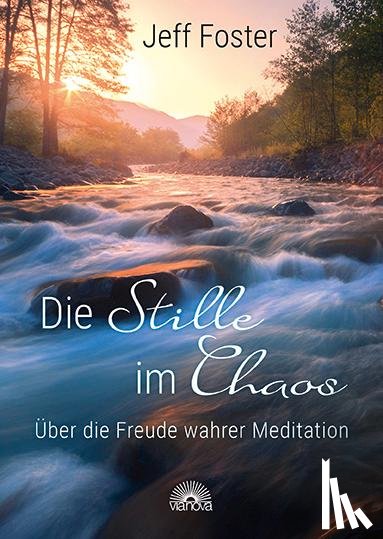 Foster, Jeff - Die Stille im Chaos