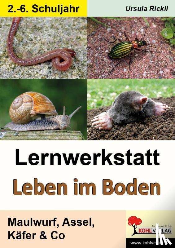 Rickli, Ursula - Lernwerkstatt Leben im Boden