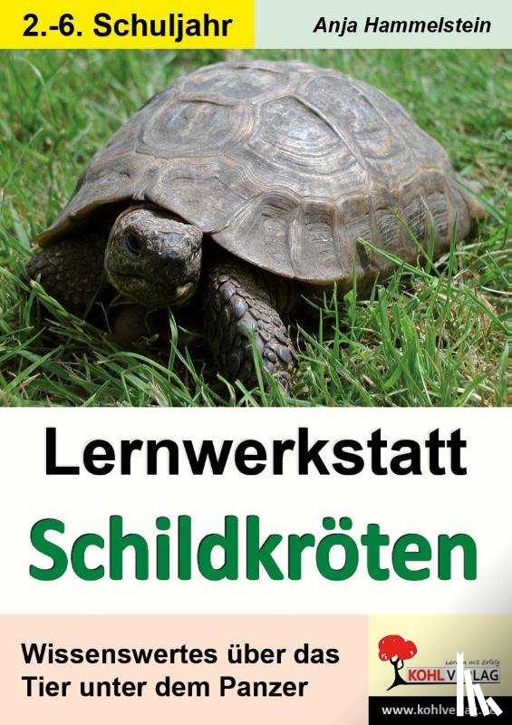  - Lernwerkstatt Schildkröten