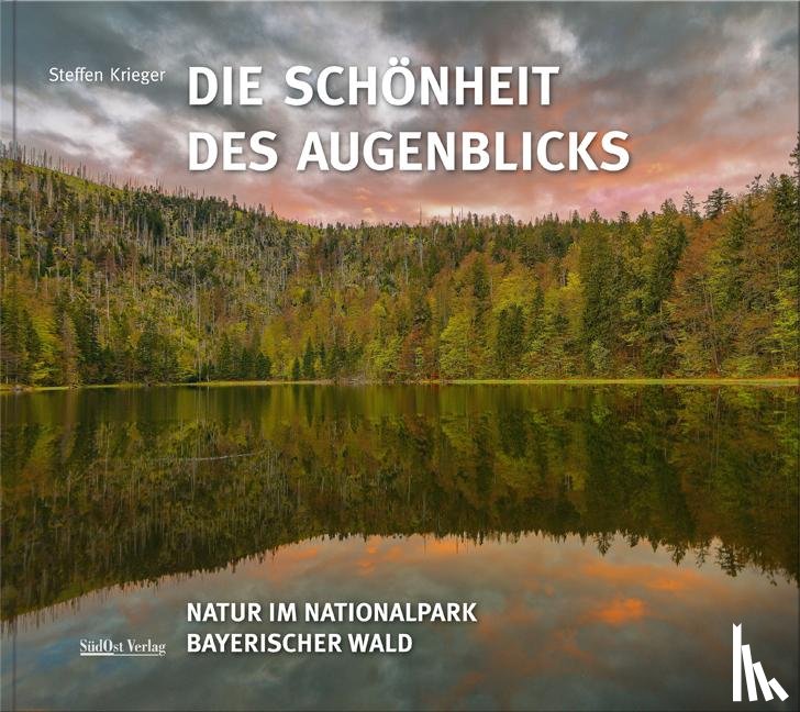 Krieger, Steffen - Die Schönheit des Augenblicks