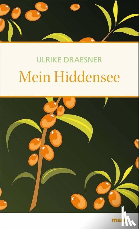 Draesner, Ulrike - Mein Hiddensee
