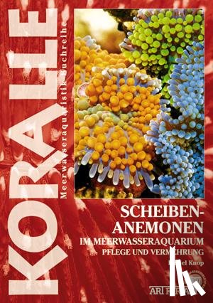 Knop, Daniel - Scheibenanemonen