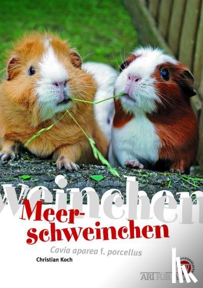 Koch, Christian - Meerschweinchen