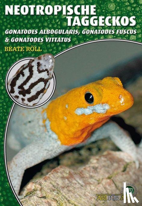 Röll, Beate - Neotropische Taggeckos