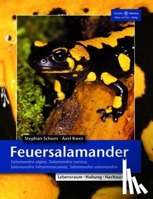 Schorn, Stefan, Kwet, Axel - Feuersalamander