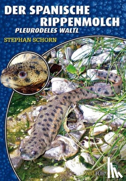 Schorn, Stephan - Der spanische Rippenmolch