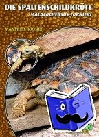 Rogner, Manfred - Die Spaltenschildkröte