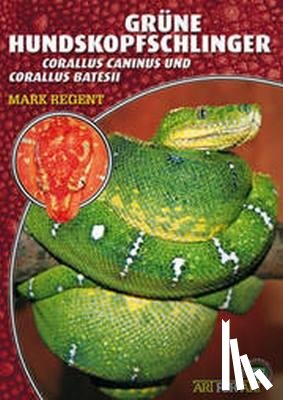 Regent, Mark - Grüne Hundskopfschlinger