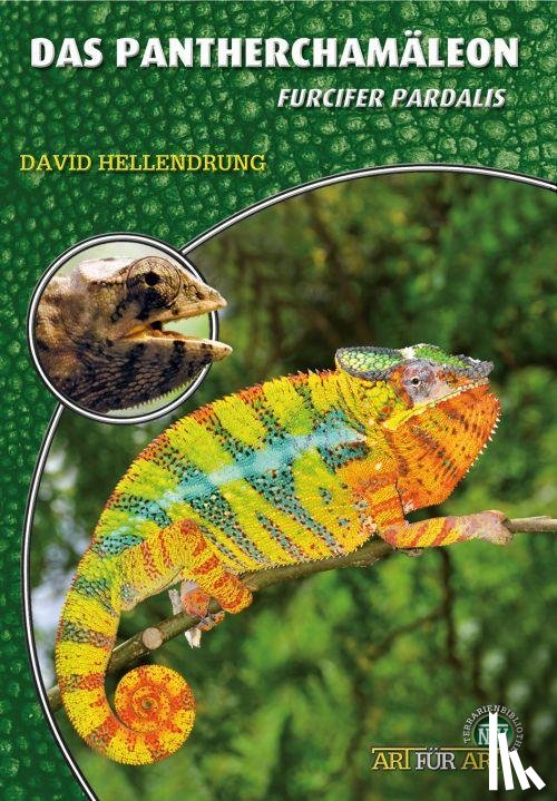 Hellendrung, David - Das Pantherchamäleon