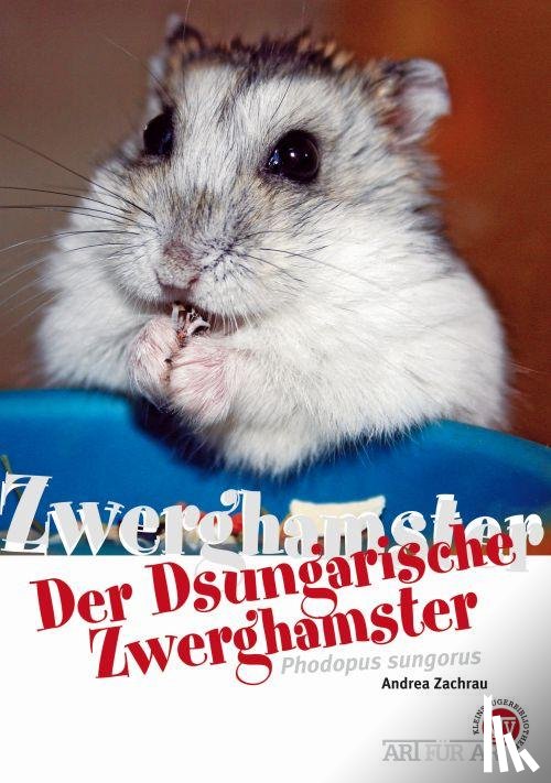 Zachrau, Andrea - Der Dsungarische Zwerghamster