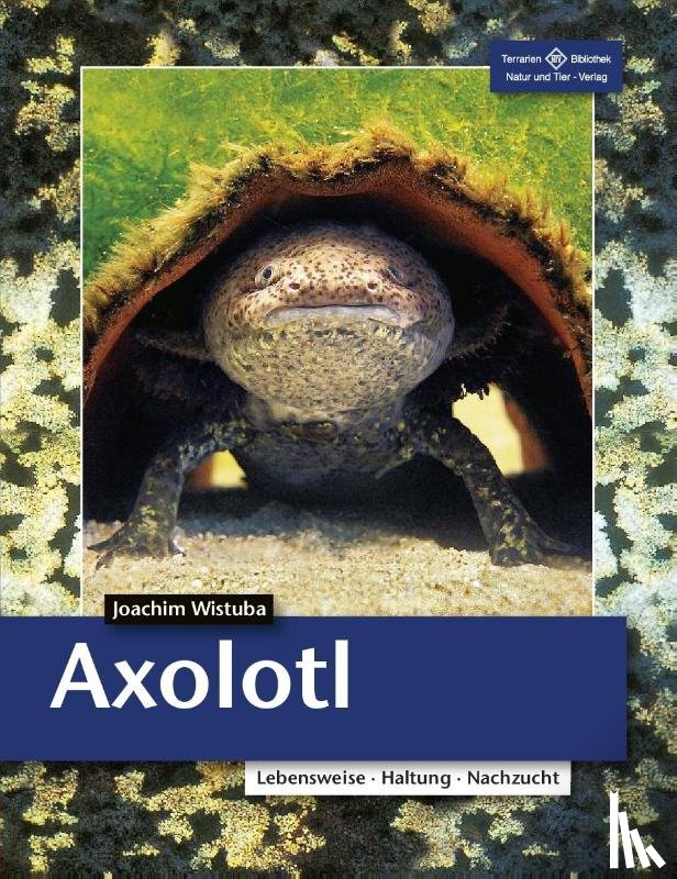 Wistuba, Joachim - Axolotl