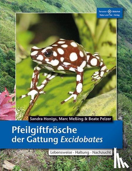 Honigs, Sandra, Meßing, Marc, Pelzer, Beate - Pfeilgiftfrösche der Gattung Excidobates