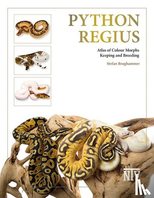 Broghammer, Stefan - Python regius