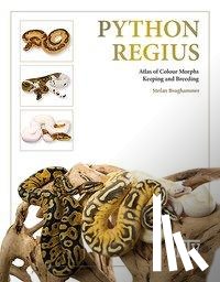 Broghammer, Stefan - Python regius