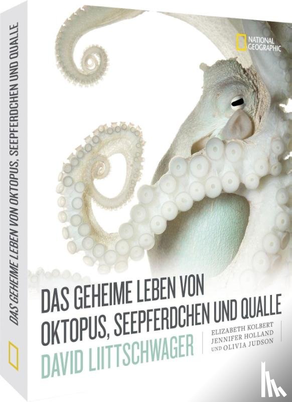 Liittschwager, David, Kolbert, Elizabeth, Holland, Jennifer, Judson, Olivia - Das geheime Leben von Oktopus, Seepferdchen und Qualle