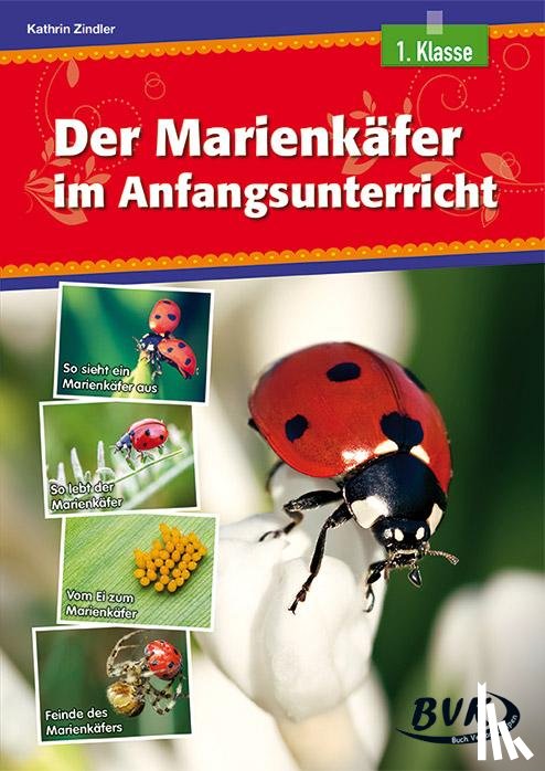 Zindler, Kathrin - Der Marienkäfer im Anfangsunterricht
