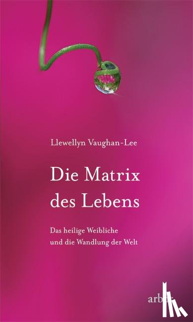 Vaughan-Lee, Llewellyn - Die Matrix des Lebens