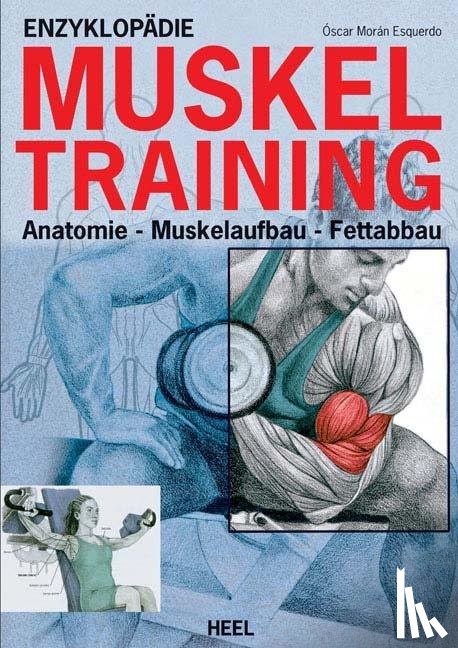 Esqerdo, Oscar Moran - Enzyklopädie des Muskel-Trainings