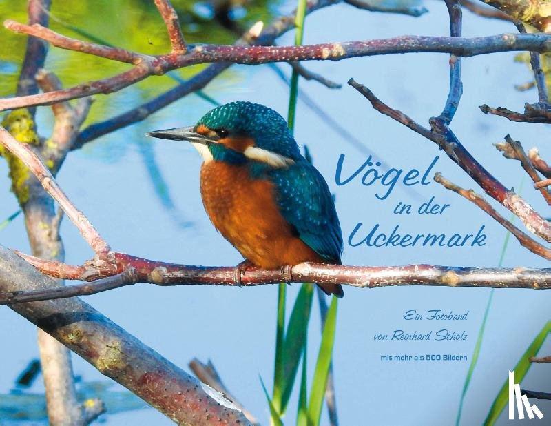 Scholz, Reinhard - Vögel in der Uckermark