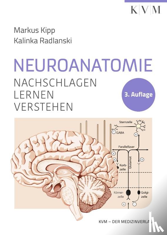 Kipp, Markus, Radlanski, Kalinka - Neuroanatomie