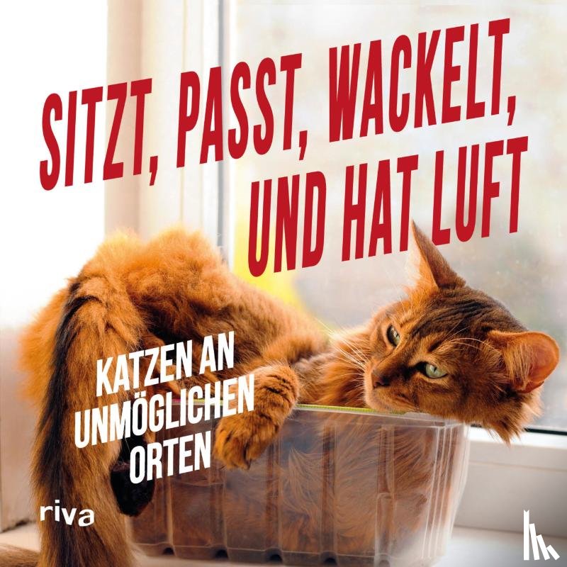  - Sitzt, passt, wackelt und hat Luft