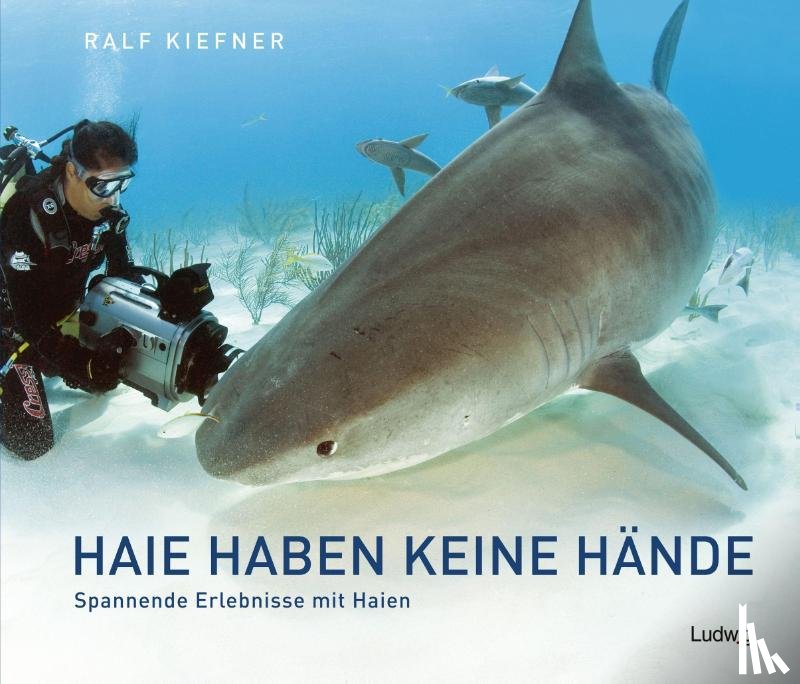 Kiefner, Ralf - Haie haben keine Hände - Spannende Erlebnisse mit Haien