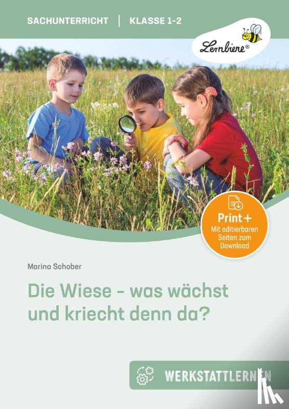 Schober, Marina - Die Wiese - was wächst und kriecht denn da?
