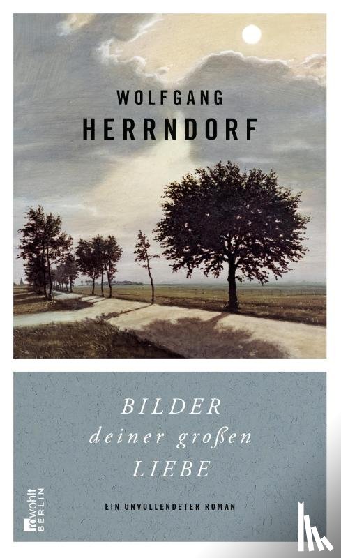 Herrndorf, Wolfgang - Bilder deiner großen Liebe