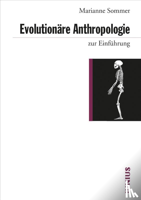 Sommer, Marianne - Evolutionäre Anthropologie zur Einführung