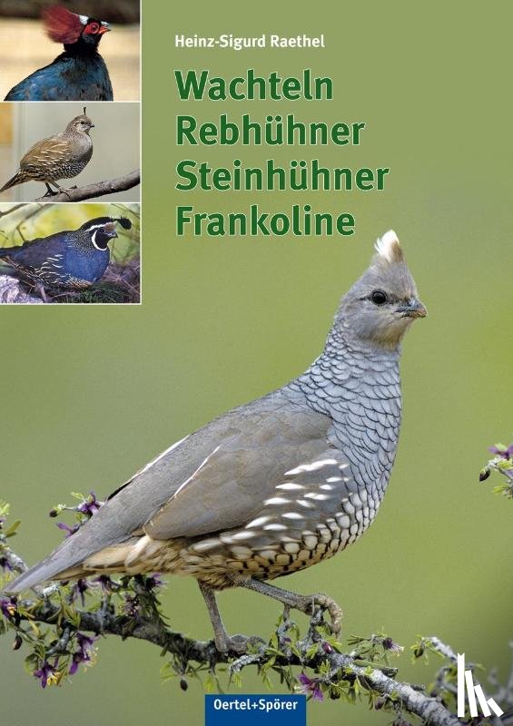 Raethel, Heinz-Sigurd - Wachteln, Rebhühner, Steinhühner, Frankoline
