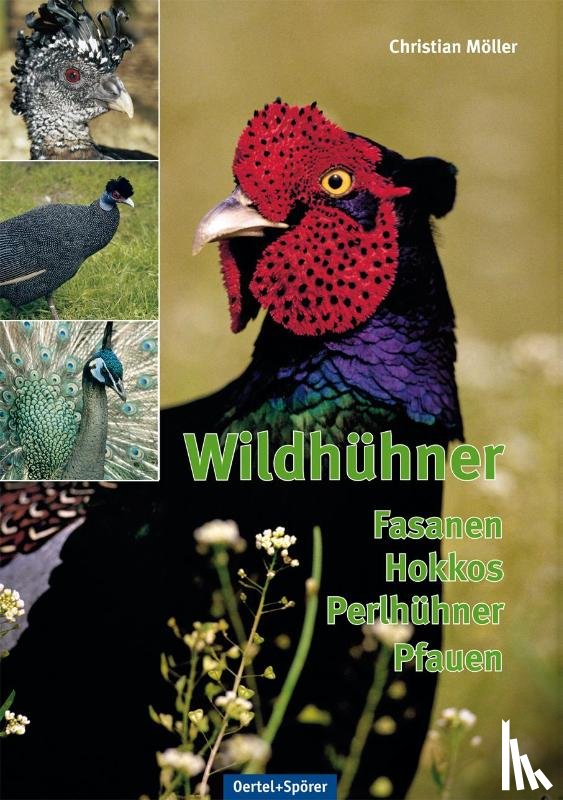 Boetticher, Hans von - Wildhühner